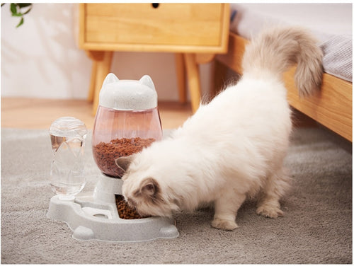 Cat Bowl Feeder - CattoStoree