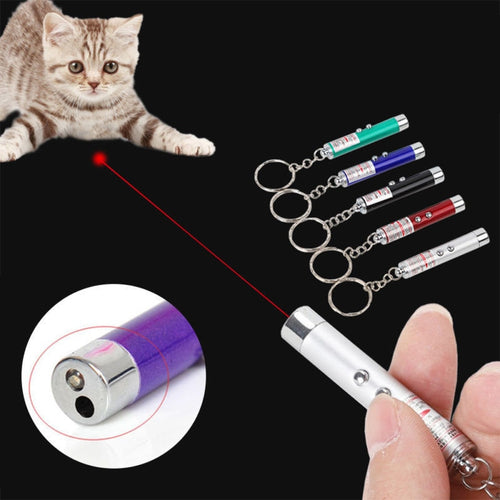 Laser Fun LED - CattoStoree